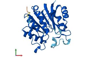 AlphaFold protein structure predicition of Human Recombinant N6AMT1 Protein, UniprotID Q9Y5N5