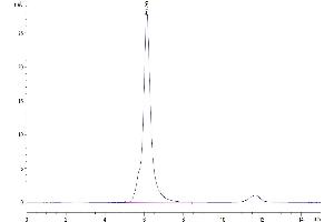 Size-exclusion chromatography-High Pressure Liquid Chromatography (SEC-HPLC) image for VEGF Receptor 2 (VEGFR2) (AA 20-764) protein (mFc Tag) (ABIN7275833)