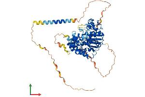 AlphaFold protein structure predicition of Mouse Recombinant Chst2 Protein, UniprotID Q80WV3 (CHST2 Protein (AA 1-530) (His tag))