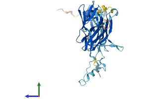 Protein Structure (PS) image for Trafficking Protein Particle Complex 13 (TRAPPC13) (AA 1-417) protein (His tag) (ABIN7557064)