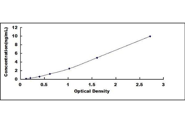 Notch1 ELISA Kit