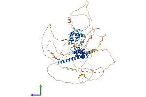 AlphaFold protein structure predicition of Mouse Recombinant Reps1 Protein, UniprotID O54916