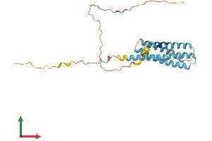 Protein Structure (PS) image for Membrane-Spanning 4-Domains, Subfamily A, Member 15 (MS4A15) (AA 1-245) protein (His tag) (ABIN7557253)