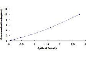 ELISA image for Mucin 20, Cell Surface Associated (MUC20) ELISA Kit (ABIN3164937) (MUC20 ELISA Kit)