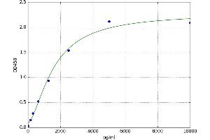A typical standard curve (HSPA4 ELISA Kit)