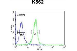 Flow cytometric analysis of K562 cells using DNAJC6 Antibody  (right histogram) compared to a negative control cell (left histogram). (DNAJC6 Antikörper  (Middle Region))