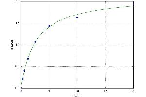 Ankyrin Repeat Domain 1 (Cardiac Muscle) (ANKRD1) ELISA Kit