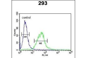 BCOR Antibody (Center ) (ABIN391538 and ABIN2841489) flow cytometric analysis of 293 cells (right histogram) compared to a negative control cell (left histogram). (BCOR Antikörper  (AA 1107-1137))