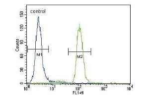 PIK3CA Antibody (C-term) (ABIN1882113 and ABIN2842103) flow cytometric analysis of Hela cells (right histogram) compared to a negative control cell (left histogram).