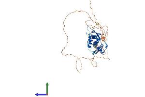 Protein Structure (PS) image for Transcription Factor AP-2 delta (Activating Enhancer Binding Protein 2 Delta) (TFAP2D) (AA 1-452) protein (His tag) (ABIN7560149)