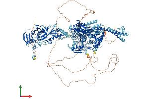 Protein Structure (PS) image for Topoisomerase (DNA) II alpha 170kDa (TOP2A) (AA 1-1531) protein (His tag) (ABIN7555788)