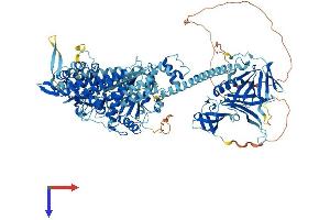 MYO1E Protein (AA 1-1108) (His tag)