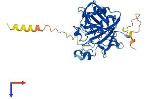 CA10 Protein (AA 1-328) (His tag)