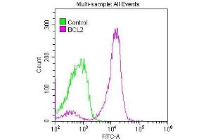 Overlay histogram showing Jurkat cells stained with ABIN7127273 (red line) at 1:50. (Rekombinanter Bcl-2 Antikörper)