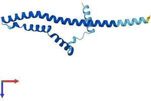 AlphaFold protein structure predicition of Mouse Recombinant Plgrkt Protein, UniprotID Q9D3P8