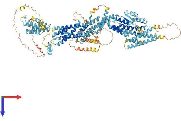 TUBGCP5 Protein (AA 1-1024) (His tag)