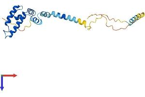 DNAJC5B Protein (AA 1-199) (His tag)