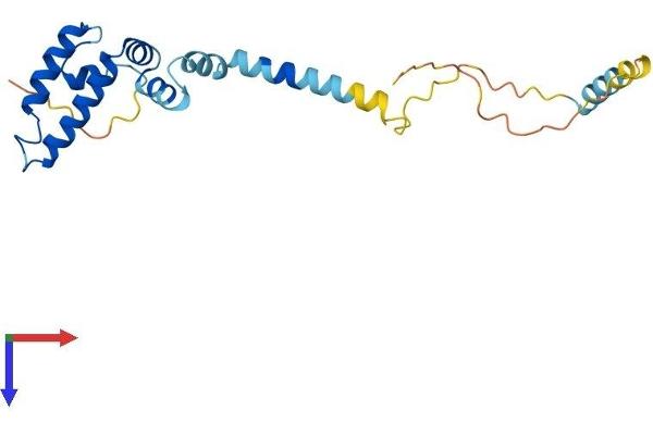 DNAJC5B Protein (AA 1-199) (His tag)