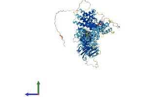 AlphaFold protein structure predicition of Mouse Recombinant Nup133 Protein, UniprotID Q8R0G9