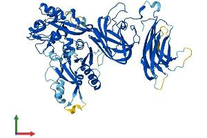 Protein Structure (PS) image for Calpain 5 (CAPN5) (AA 1-640) protein (His tag) (ABIN7562191)