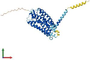 Protein Structure (PS) image for G Protein-Coupled Receptor 183 (GPR183) (AA 1-361) protein (His tag) (ABIN7554019)