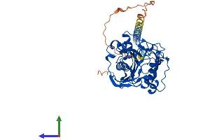 Protein Structure (PS) image for UDP-Gal:betaGlcNAc beta 1,4- Galactosyltransferase, Polypeptide 2 (B4GALT2) (AA 1-369) protein (His tag) (ABIN7556452)