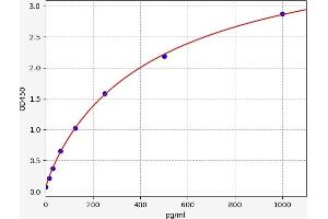 Galectin 2 ELISA Kit