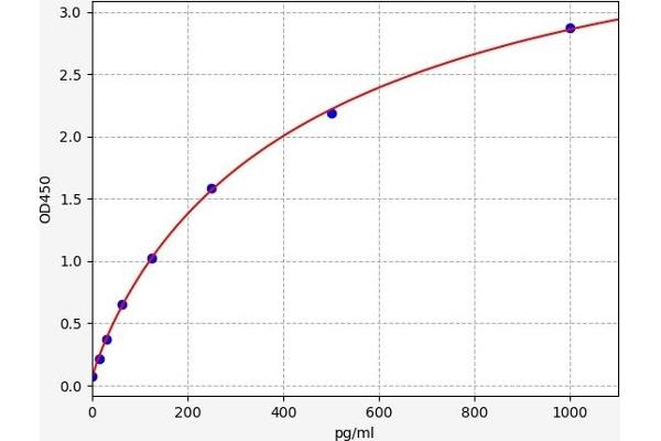 Galectin 2 ELISA Kit