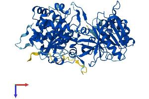 NDOR1 Protein (AA 1-597) (His tag)