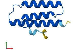 AlphaFold protein structure predicition of Human Recombinant LYRM9 Protein, UniprotID A8MSI8