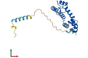 Protein Structure (PS) image for Regulator of G-Protein Signaling 5 (RGS5) (AA 1-181) protein (His tag) (ABIN7562215)