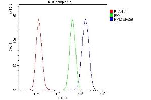 Flow Cytometry analysis of U20S cells using anti-RMI2 antibody (ABIN6719656).