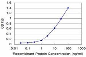 Detection limit for recombinant GST tagged CARF is approximately 1ng/ml as a capture antibody. (CDKN2AIP Antikörper  (AA 1-579))