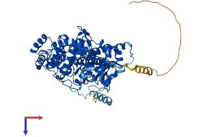GRK5 Protein (AA 1-590) (His tag)