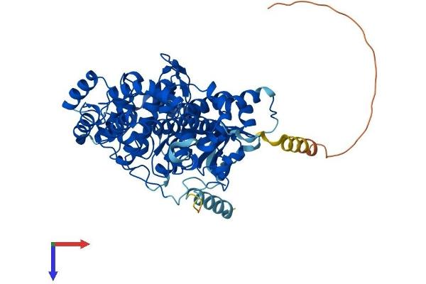 GRK5 Protein (AA 1-590) (His tag)