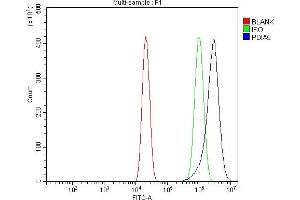 Flow Cytometry analysis of U20S cells using anti-PDIA5 antibody (ABIN7601801). (PDIA5 Antikörper  (AA 46-481))