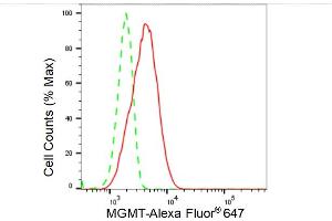 Flow cytometric analysis of MGMT expression in HeLa cells using MGMT antibody (ABIN7799697), 1:2,000). (Rekombinanter MGMT Antikörper)