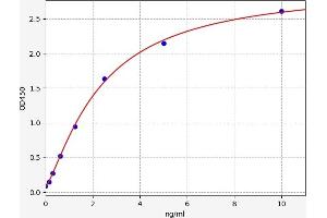 LC3B ELISA Kit