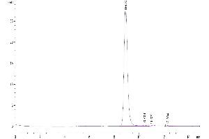 Size-exclusion chromatography-High Pressure Liquid Chromatography (SEC-HPLC) image for CD33 (CD33) (AA 18-240) protein (His tag) (ABIN7274167)