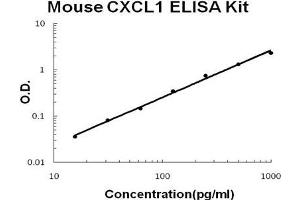 Mouse CXCL1 PicoKine ELISA Kit standard curve (CXCL1 ELISA Kit)