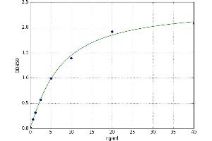 A typical standard curve