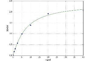A typical standard curve (Adipsin ELISA Kit)