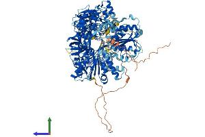 Protein Structure (PS) image for Nitric Oxide Synthase 2, Inducible (NOS2) (AA 1-1153) protein (His tag) (ABIN7554738)