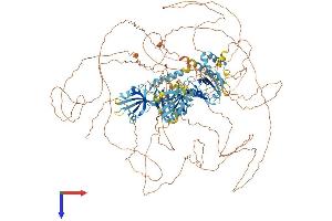 IL16 Protein (AA 1-1322) (His tag)