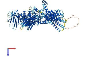 PGAP1 Protein (AA 1-922) (His tag)