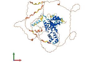 AlphaFold protein structure predicition of Human Recombinant FIGNL2 Protein, UniprotID A6NMB9 (Fidgetin-Like 2 Protein (FIGNL2) (AA 1-653) (His tag))