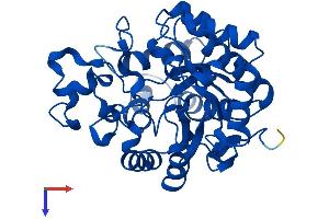 PTER Protein (AA 1-349) (His tag)