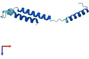 DPM3 Protein (AA 1-92) (His tag)