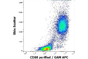 Flow cytometry surface staining pattern of human peripheral whole blood stained using anti-human CD88 (S5/1) purified antibody (concentration in sample 3 μg/mL, GAM APC). (C5AR1 Antikörper  (AA 15-27))