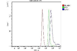 Flow Cytometry analysis of THP-1 cells using anti-Exonuclease 1/EXO1 antibody (ABIN7599229). (Exonuclease 1 Antikörper  (AA 1-294))